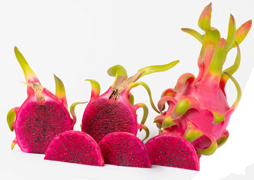 THANH LONG ĐỎ ĐÔNG LẠNH